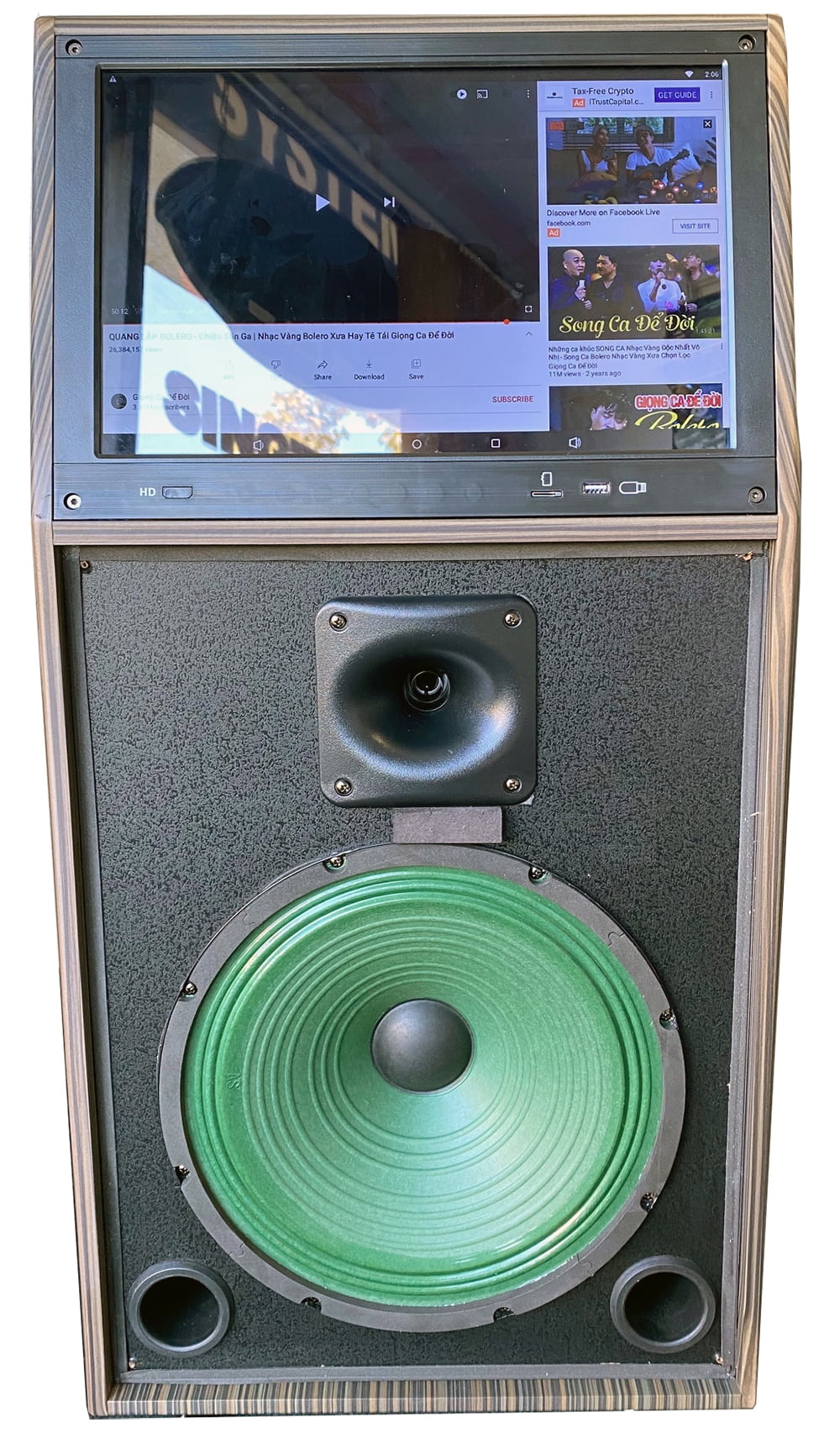 Singtronic BT-888Pro Professional 1000W Powered 12" Bluetooth Speaker, Karaoke Machine with 2 Microphones
