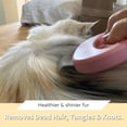 thumbnail image 4 of Peine masajeador para quitar el pelo de mascotas, cepillo suave para quitar el pelo enmarañado, herramienta para quitar el pelo largo y corto, para gatos, perros, cachorros, conejos (rosa), 4 of 4