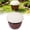 B, variant on Beer Slug Snail Traps,2026 New Garden Snail Slug Trapping Box,Reusable Plastic Snails Traps,SnailCage Slugs House for for Garden Farm,Friendly to Catch Snails Catcher,Gardeners Gift