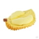 thumbnail image 1 of 1 Exhibidores de Muestra de Durian Decorativos istas, de Simución, Accesorios , Oficina Y Fotografía Gloria Frutas Artificiales Durian, 1 of 8
