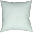 thumbnail image 4 of Surya PHDGR001-1818 Sea-sons Greetings 18 x 18 x 4 in. Throw Pillow, Green - Medium, 4 of 4