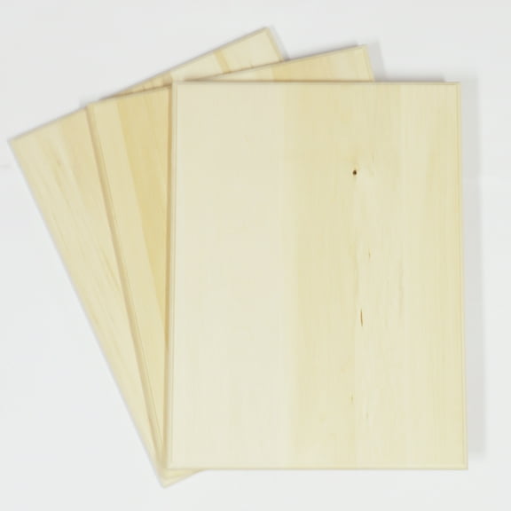Wilson Basswood Plaque (12"x 16" 12 Pack)