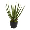 thumbnail image 3 of Nearly Natural Aloe Artificial Plant (Set of 2), 3 of 4