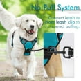 thumbnail image 4 of rabbitgoo Dog Harness  No-Pull Pet Harness with 2 Leash Clips  Adjustable Soft Padded Dog Vest  Reflective No-Choke Pet Oxford Vest with Easy Control Handle for Large Dogs  Black  L, 4 of 9