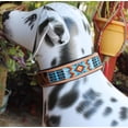 thumbnail image 4 of Medium 17''- 21'' Dog Puppy Collar Genuine Cow Leather Padded Canine  60103, 4 of 5