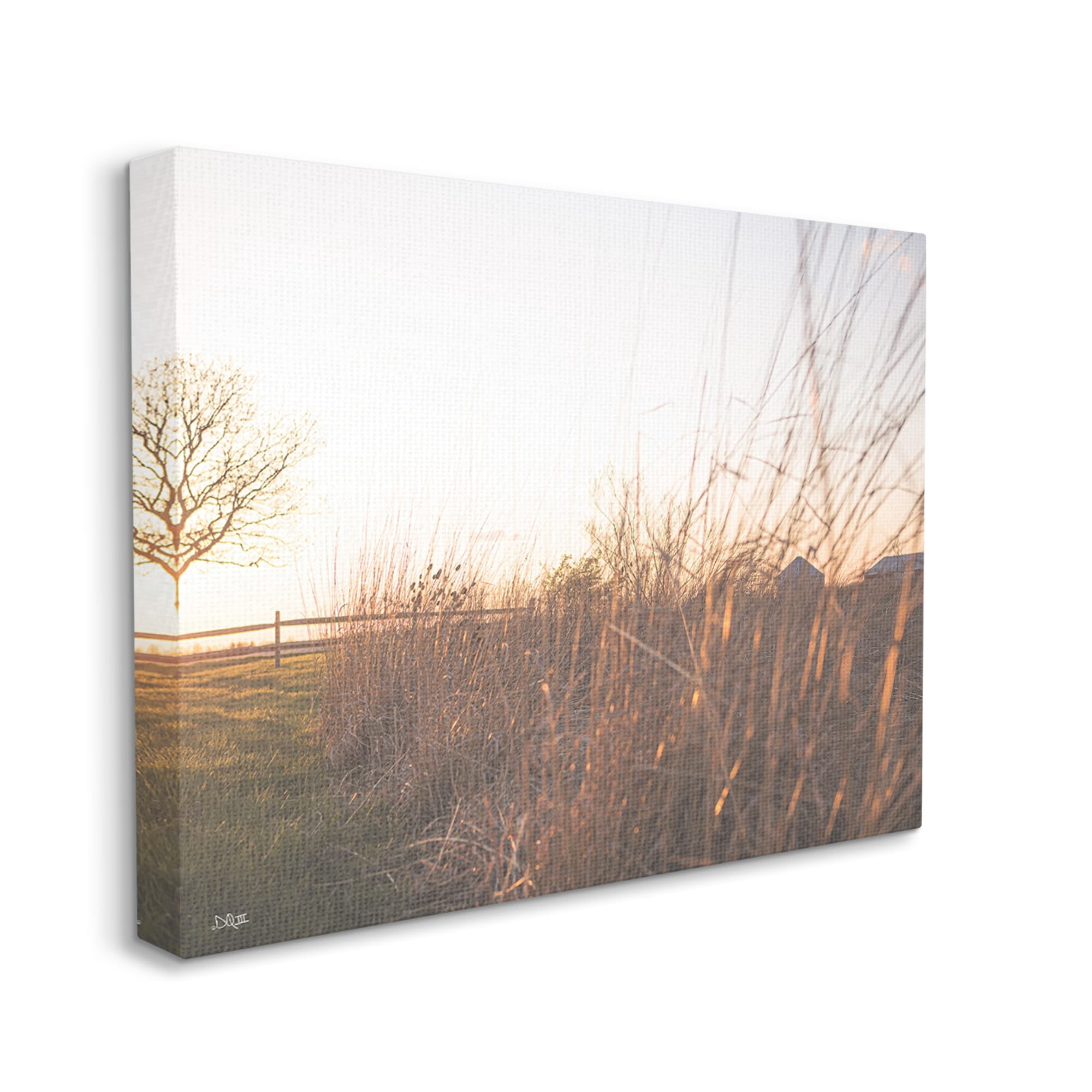 Stupell Industries Countryside Field Tall Grass Summer Sunshine Rays Canvas Wall Art, 30 x 24, Design by Donnie Quillen