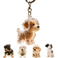 thumbnail image 2 of Porte-clés en Poils de Chien, Collectionneur de Poils de Chien, Breloque, Boîte de Rangement Commémorative, Souvenir de Poils d'Animaux, Porte-Clés Transparent et Mignon, 2 of 3
