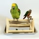 thumbnail image 2 of Juguetes de Aves Animal Pie Jaula de Molienda, 2 of 9