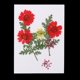 thumbnail image 2 of Hojas Secas das para Decoración de Tarjetas de Bricoje Artesanal de Joyería de Fundición de Resina rojo Baoblaze Flores secas prensadas naturales, 2 of 8