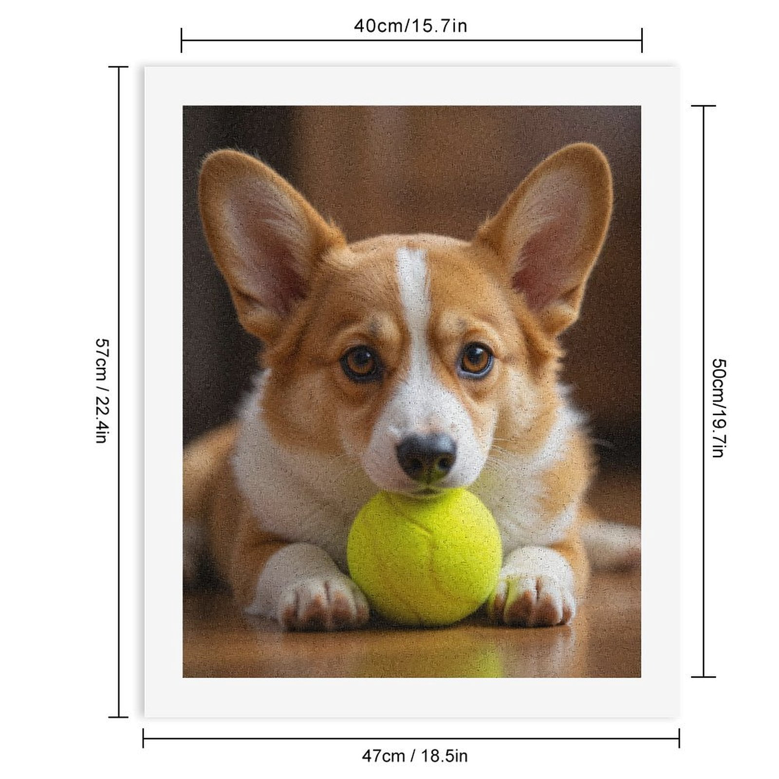 Paint by Numbers Kit for Adults, Corgi With Tennis Ball Paint by Numbers, Easy Paint by Numbers Kit for Adults Beginner, DIY Adult Paint by Number Kits on Canvas, Home Decor