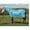 Hurricane, variant on Weaver Leather Mesh Fly Sheet with UV Protection - Breathable Horse Fly Sheet - Multiple Sizes Hurricane Blue / 82