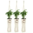 thumbnail image 3 of SPRING PARK Macrame Plant Hangers Indoor Hanging Planter Basket Decorative Flower Pot Holder Jute Rope for Indoor Outdoor Home Decor, 3 of 7
