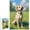 500 PCS, variant on Labrador Retriever Dog Themed 500 Piece Puzzle for Adults, Finished Size 20.5" x 15", Perfect for Puzzle Nights