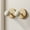 Adhesive Wall Hook Under $5 A7812, variant on kkbbma under $5 Adhesive Wall Hook, Adhesive Wall Hooks Strong,Hold Heavy Duty Wall Hooks,No Damage Wall Hooks,Removable Wall Hooks,Command Style Wall Hooks,Bathroom Kitchen Hooks,10ml Adhesive Hooks