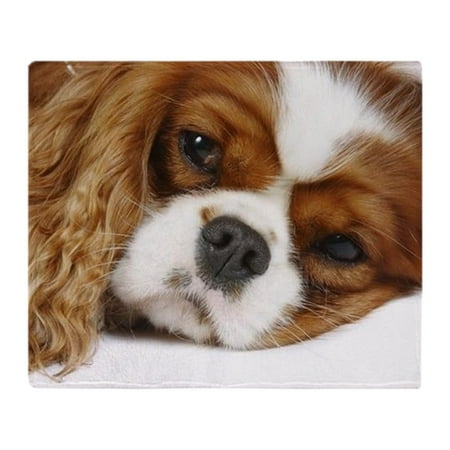 Tri Cavalier King Charles Spaniel - CafePress - Cavalier King Charles Spaniel - Soft Fleece Throw Blanket, 50