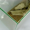 thumbnail image 3 of lionlar Ensemble de 4 Pcs Support Pince Support en Acier Inoxydable pour Réservoir d'Aquarium en Verre - 5 mm, 3 of 9