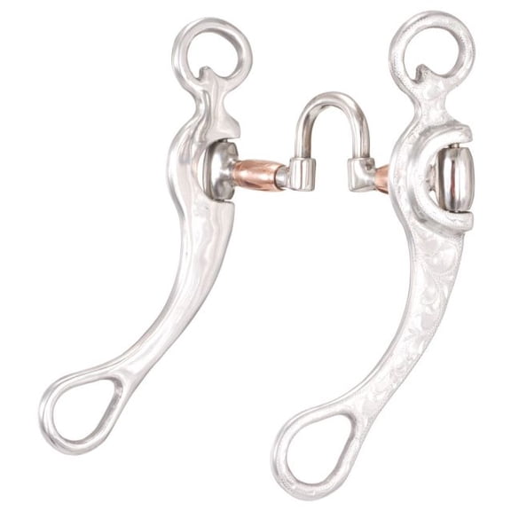 Tough 1 Engraved Aluminum Correction Bit