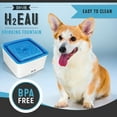 thumbnail image 6 of ZEUS Mini Elevated Dog Water Dispenser, Dog Drinking Water Fountain, Small Dog Breeds, 6 of 7