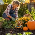 thumbnail image 5 of Fall Garden Decorations Scarecrow Garden Stake with Pumpkins, Apples and Corn, Colorful Yard Decor for Lawn, Porch, Flower Bed, Patio and Thanksgiving Display, 5 of 7