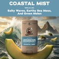 thumbnail image 5 of Dr. Squatch Mens Aluminum Free Deodorant, Natural Deodorant for Men, Coastal Mist, 2.65 Oz, 5 of 18