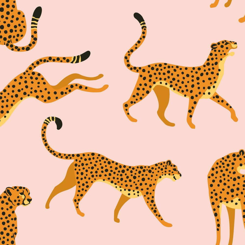 Cheetah Cheetah Peel and Stick Wallpaper