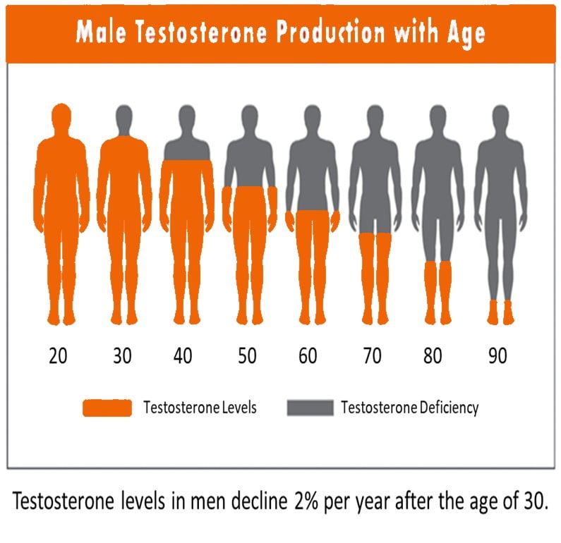 High T Senior+ Prostate & Testosterone Support Natural Testosterone Support 90 Capsules