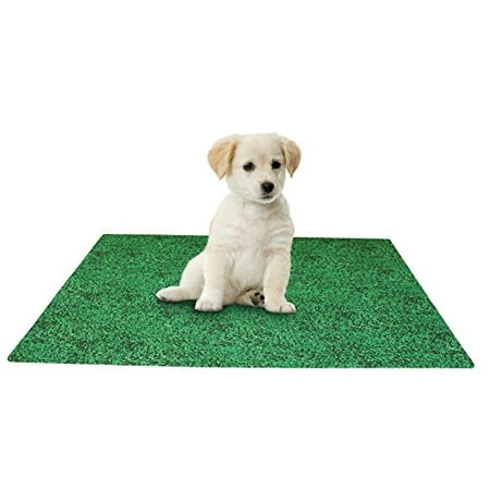 Leak Resistant Puppy Potty Pad 1 Each Green 20