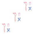 thumbnail image 4 of Qarigey 3 unids / set puente adelgazante para levantar la nariz, alisar el clip, herramientas para forma, alisador, moldeador, instrumento de belleza Type1 NO1 Qarigey CBP164701, 4 of 6