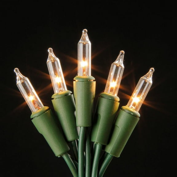 Home Accents Holiday 22 ft. 100-Lights String-to-String Incandescent Lights Mini Bulb Clear Color