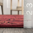 thumbnail image 2 of nuLOOM Billie Traditional Paneled Fringe Area Rug, 4' x 6', Billie Red, 2 of 6