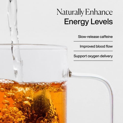 MISSION Energise Green Tea Bags with Cocoa Nibs + Ginger 15's, British Import (Pack of 3)