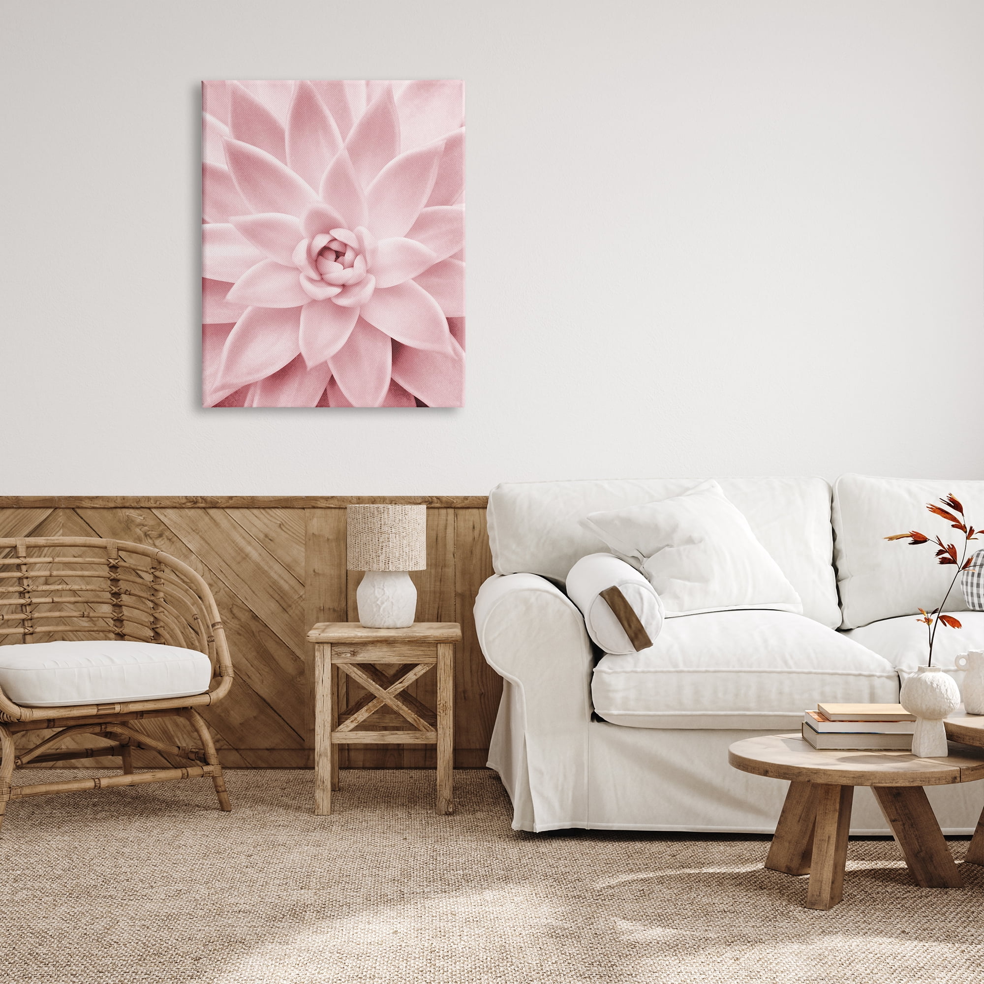 Stupell Industries Pastel Pink Succulent Botanical & Floral Photography Gallery Wrapped Canvas Print Wall Art, 30 x 40