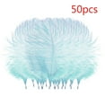 thumbnail image 2 of Clearance! Fdelink Feathers Decoration 50 Pcs Colourful Plumage for Wedding Party Centerpieces Flower Arrangement Home Decoration Diy Middle Floating Plume Hair Clothing Craft Decoration Plumage, 2 of 3