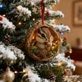 thumbnail image 5 of Taicans forest Animal Christmas Ornament - Squirrel in Nut Shell Resin Ornament,Holiday Decor,Winter Wonderland Tree Decoration,Nature-Inspired Gift,2025 Holiday Decorations, 5 of 5