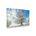 thumbnail image 2 of Trademark Fine Art 'Cold Oak' Canvas Art by Lars Van de Goo, 2 of 3