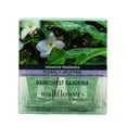 thumbnail image 1 of Recargas de fragancia Bath & Body Works Rainforest Gardenia, 24 ml, paquete de 2, 1 of 1