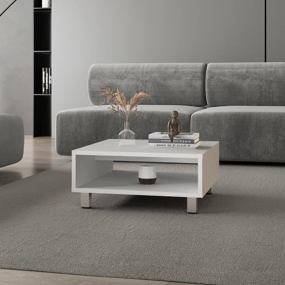 Dtwnek Coffee Table with Open Storage, White