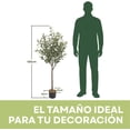 thumbnail image 2 of Blackbox Árbol de Olivo Artificial 135 CM Premium con Aceitunas Decorativas, Tronco de Apariencia Natural, Decoración para Sala, Oficina y Hogar, 2 of 6