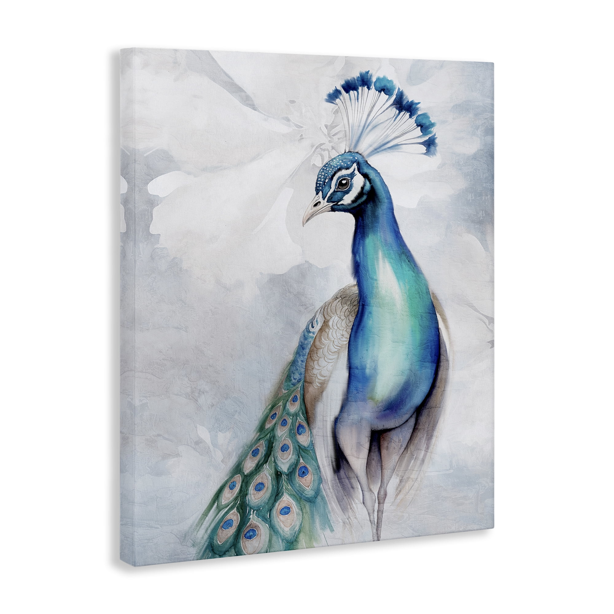 Stupell Industries Soft Elegant Peacock Portrait Animals Painting Wrapped Canvas Art Print Wall Art, 24 x 30