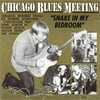 Chicago Blues Meeting: Snake In My Bedroom