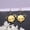 Elephant-G, variant on Cute Animal Silhouette Dangle Hook Earrings for Women for Adult, Gold Silver Stainless Steel Fox Lizard Sheep Horse Drop Earrings Jewelry Gift(Gecko)