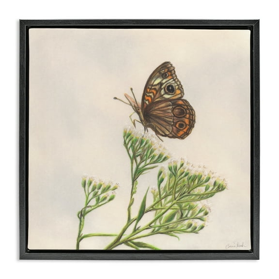 Stupell Industries Spring Offerings Butterfly Animals & Insects Painting Black Floater Framed Canvas Art Print Wall Art, 18 x 18
