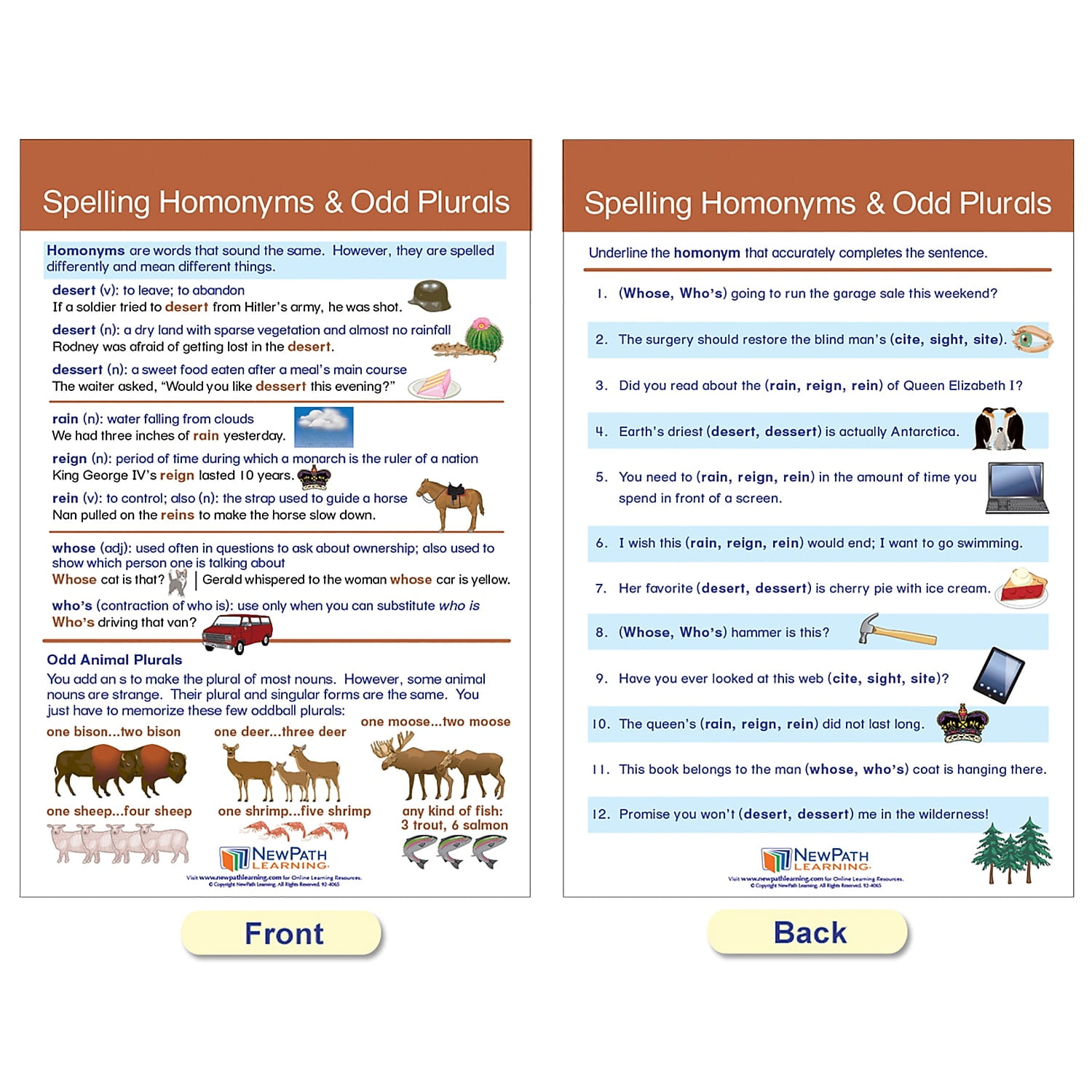 NewPath Learning Spelling Rules Bulletin Board Chart Set 12" x 18" 7/Set (NP-923501)