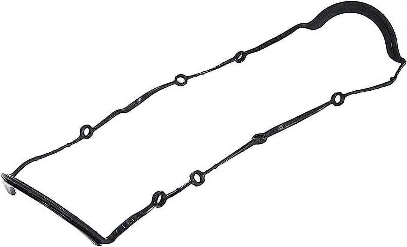 Engine Oil Pan Gasket