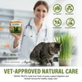 thumbnail image 6 of Cat Grass Treats, Cat Grass for Indoor Cats, 100% Organic Hairball Relief & Digestive Support, 120g, 6 of 10