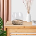 thumbnail image 3 of EXHUMKY Fish Specimen Container Micro Landscape Bottle Japanese Style Home Decoration 1 Piece, 3 of 8