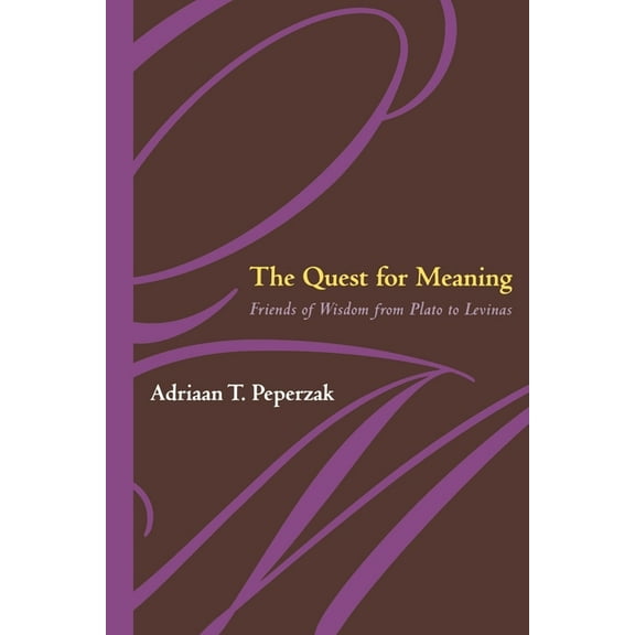 Quest for Meaning : Friends of Wisdom from Plato to Levinas
