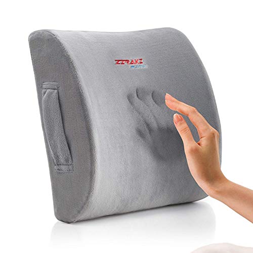 chair cushion for lower back pain