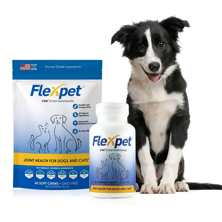 Are Human Joint Supplements Safe For Dogs