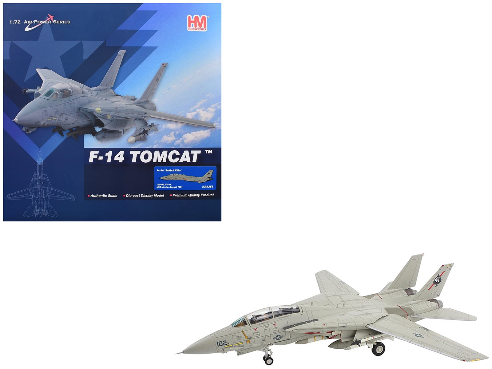 Grumman F-14D Tomcat Fighter Aircraft 